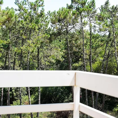 Apartment Guestready - Seaside Tranquillity In Amorosa Viana do Castelo